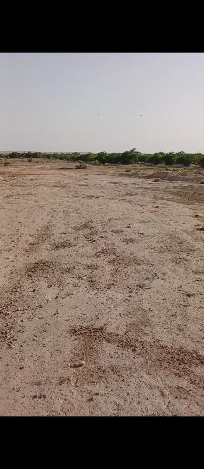 زمین