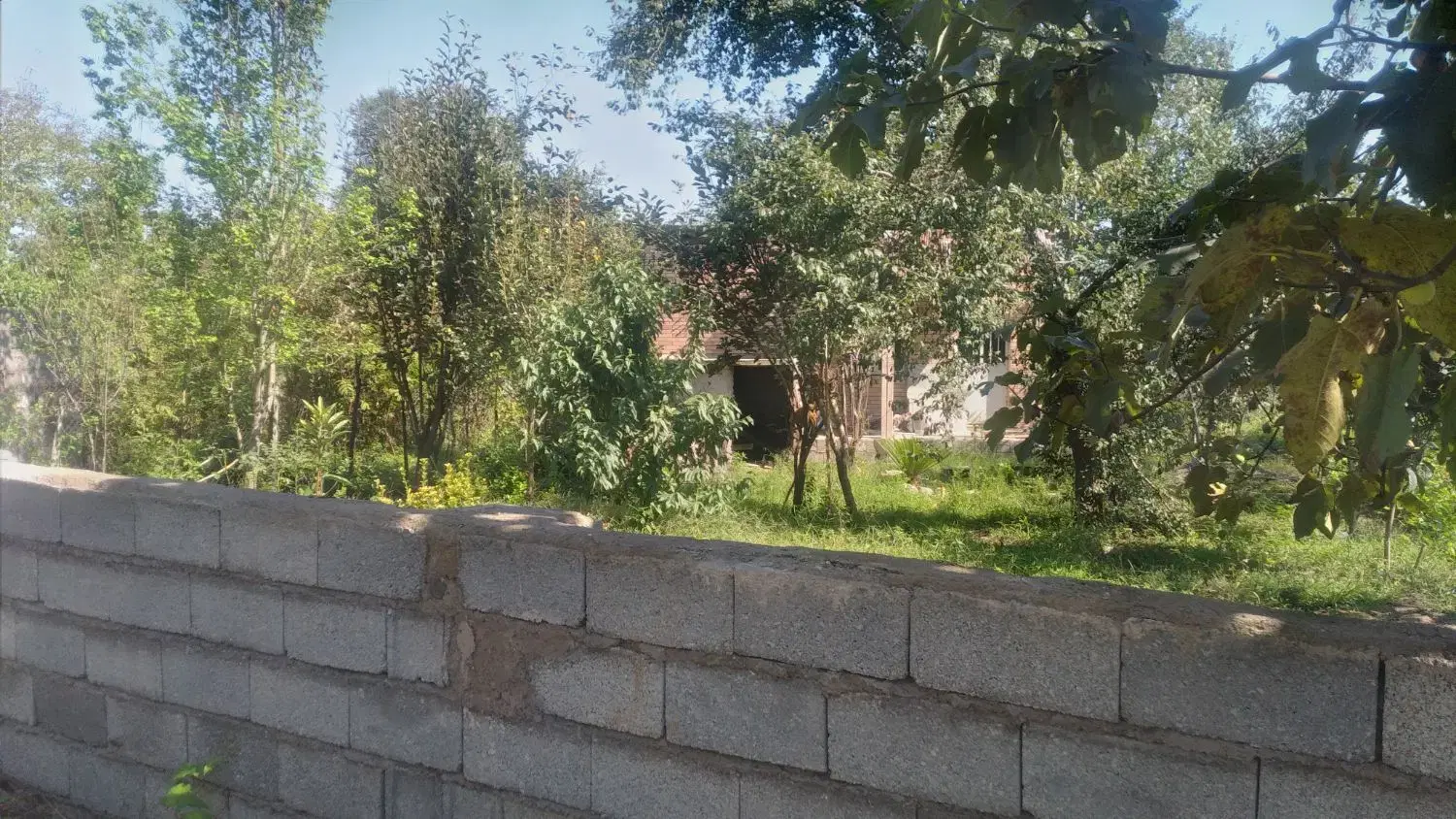 سوییت وباغ ۳هزارمتری سنگرشاقاجی سراوان
