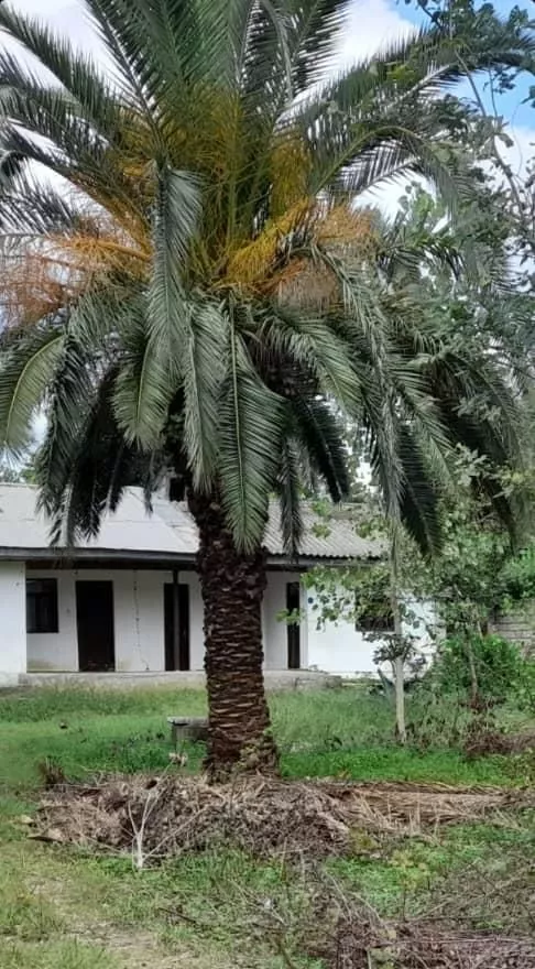 کلنگی سنددار۹۰۰م سنگرشاقاجی سراوان