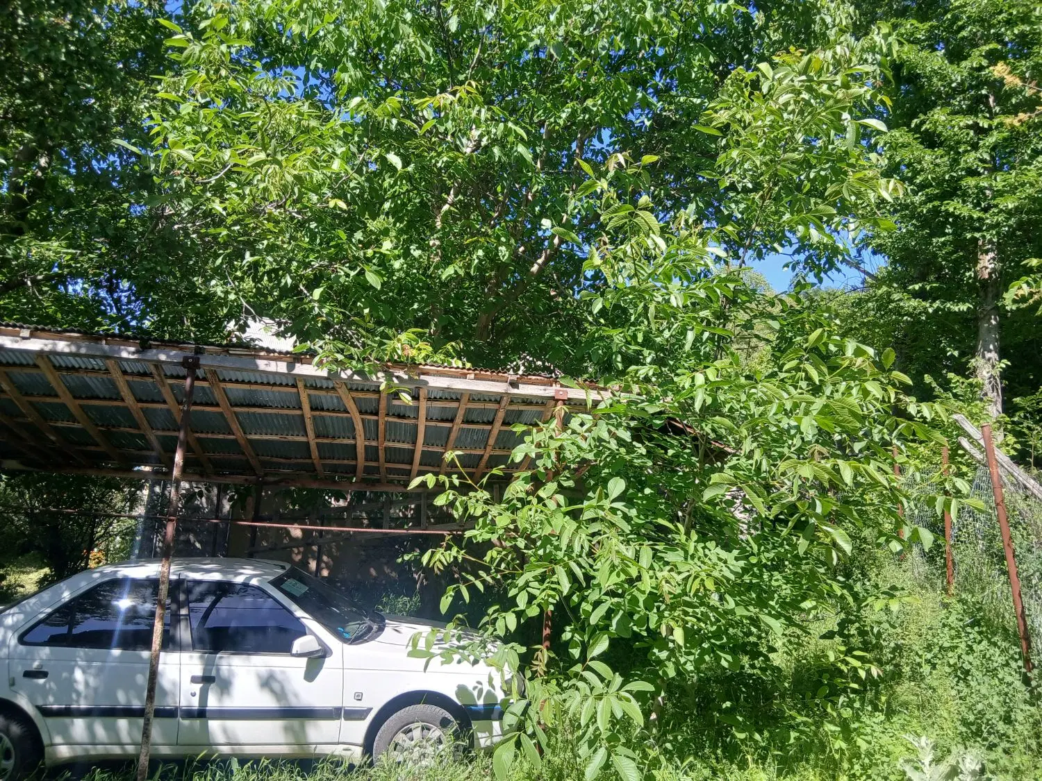 خانه ویلایی ۴۵۰ متر زمین وزیربنای خانه ۱۰۰ متر