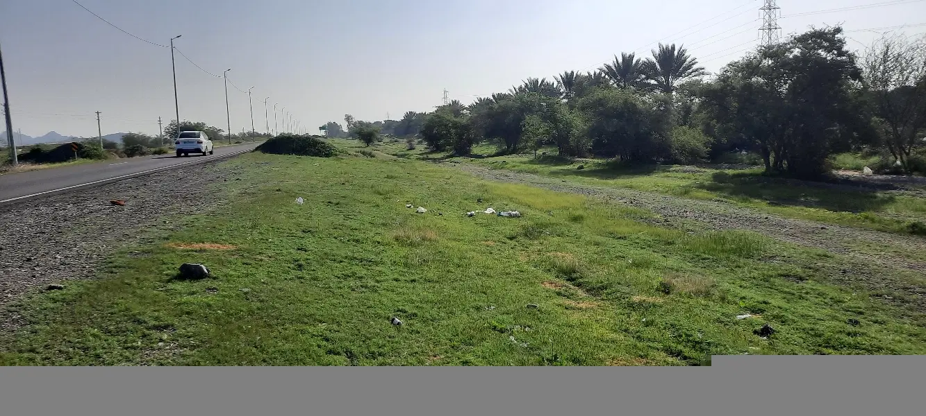 فروش زمین سرخون