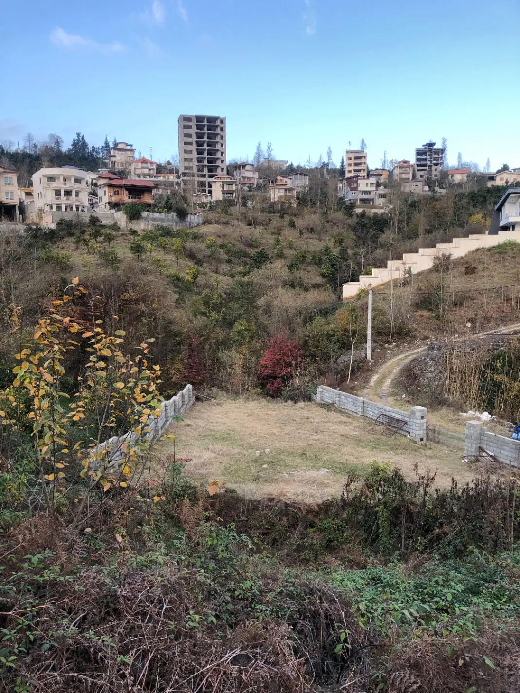 زمین