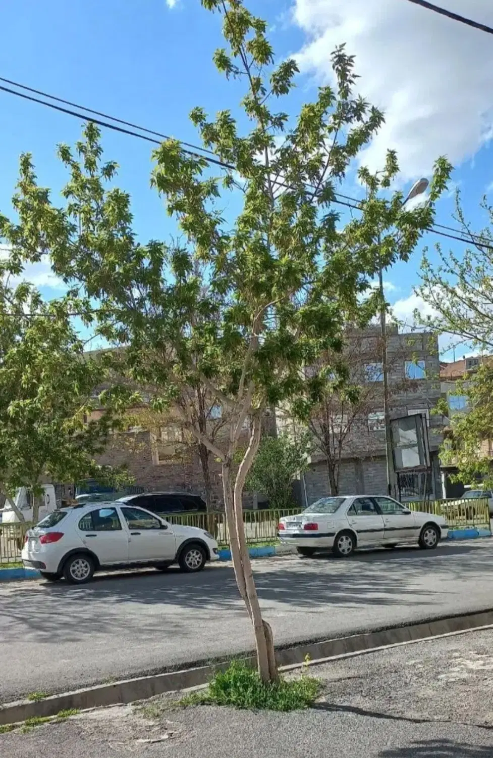 زمینهای مسکونی شادبادمشایخ نزدیک ائل گلی