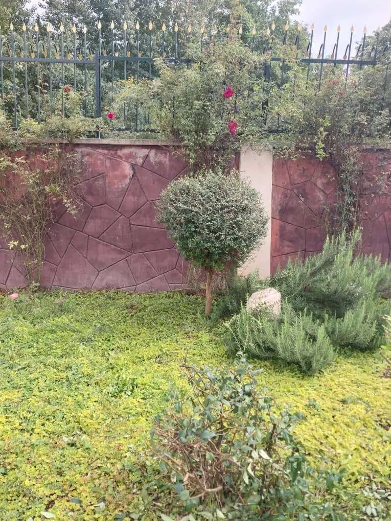 زمین رینگ ۴۵ متری پالوجده