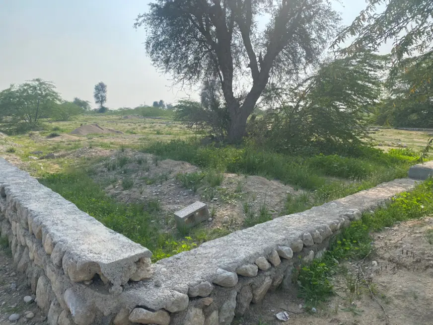 زمین پاتل ایسین فروشی