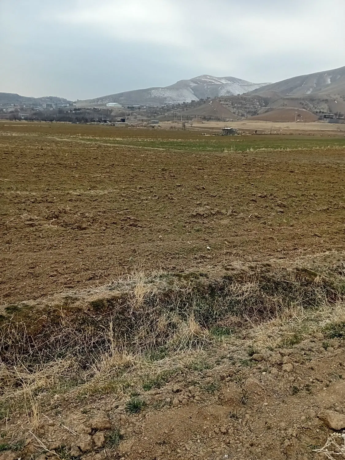 زمین حسن آباد دشت بآو حسن
