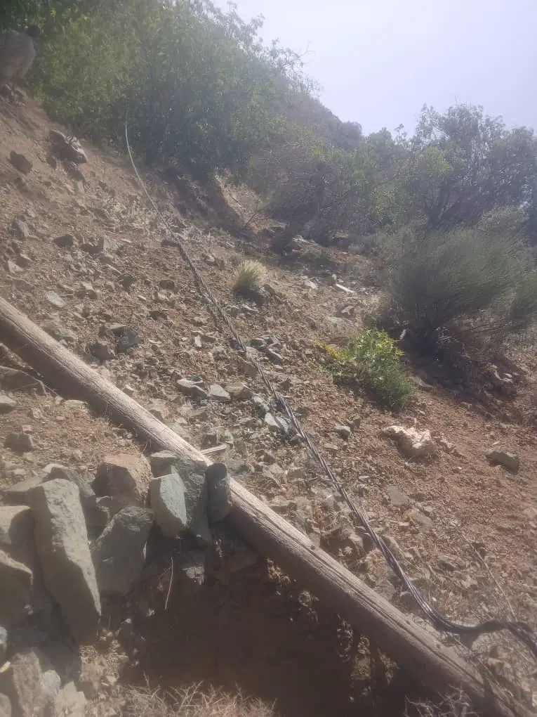 اجاره گاخانه