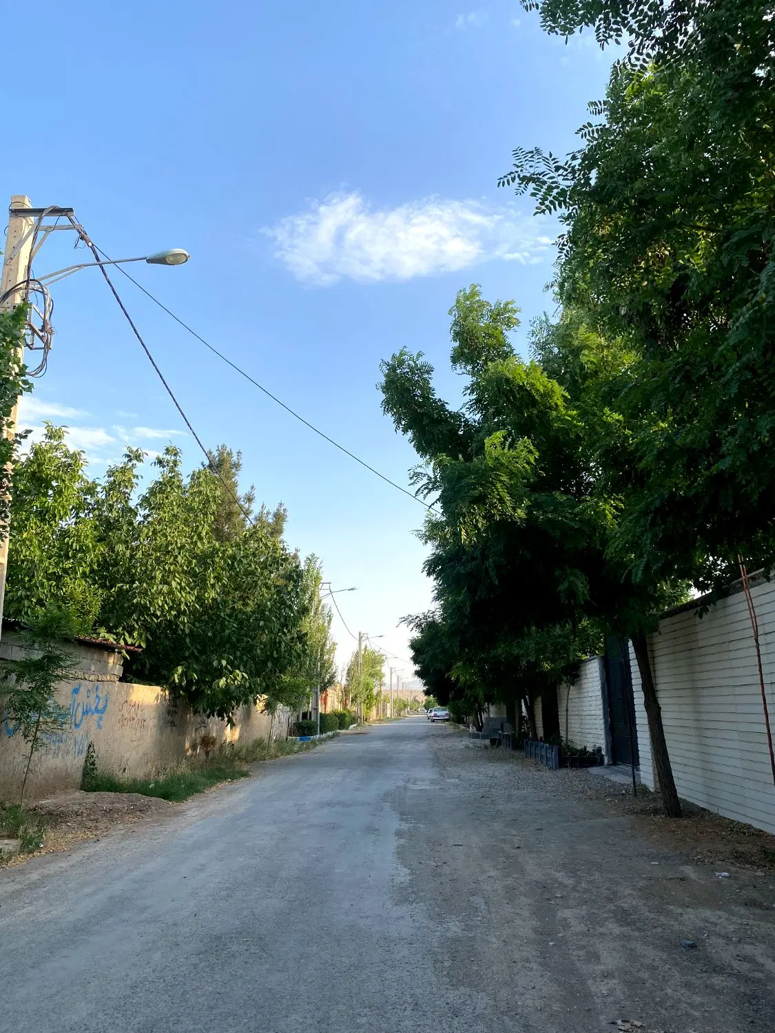 فروش زمین سهیلیه دولت آباد