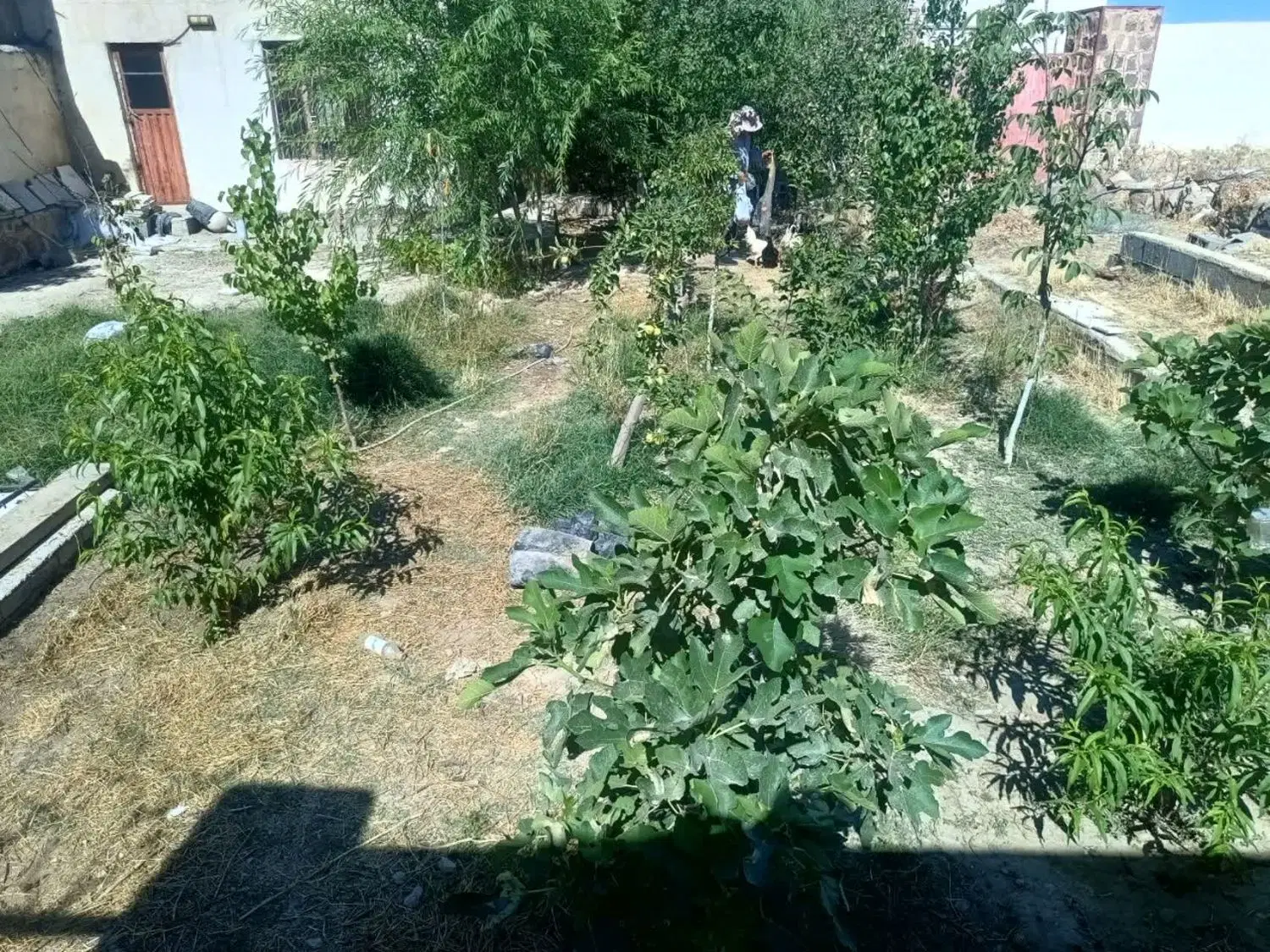 فروش ویلا ۴۰۰متری روستای جمعاب