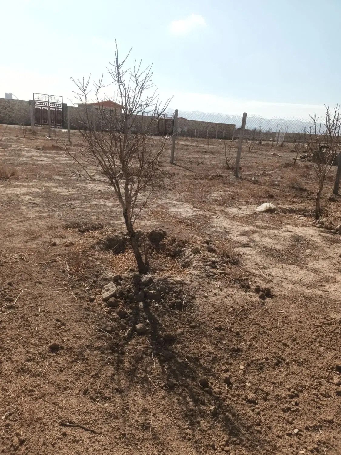 800مترباغ گاوخانه
