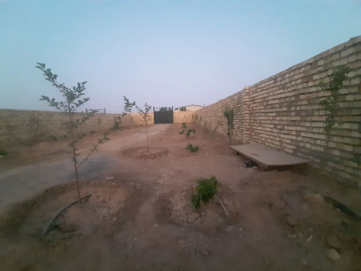 باغ چهار دیواری گاوخانه