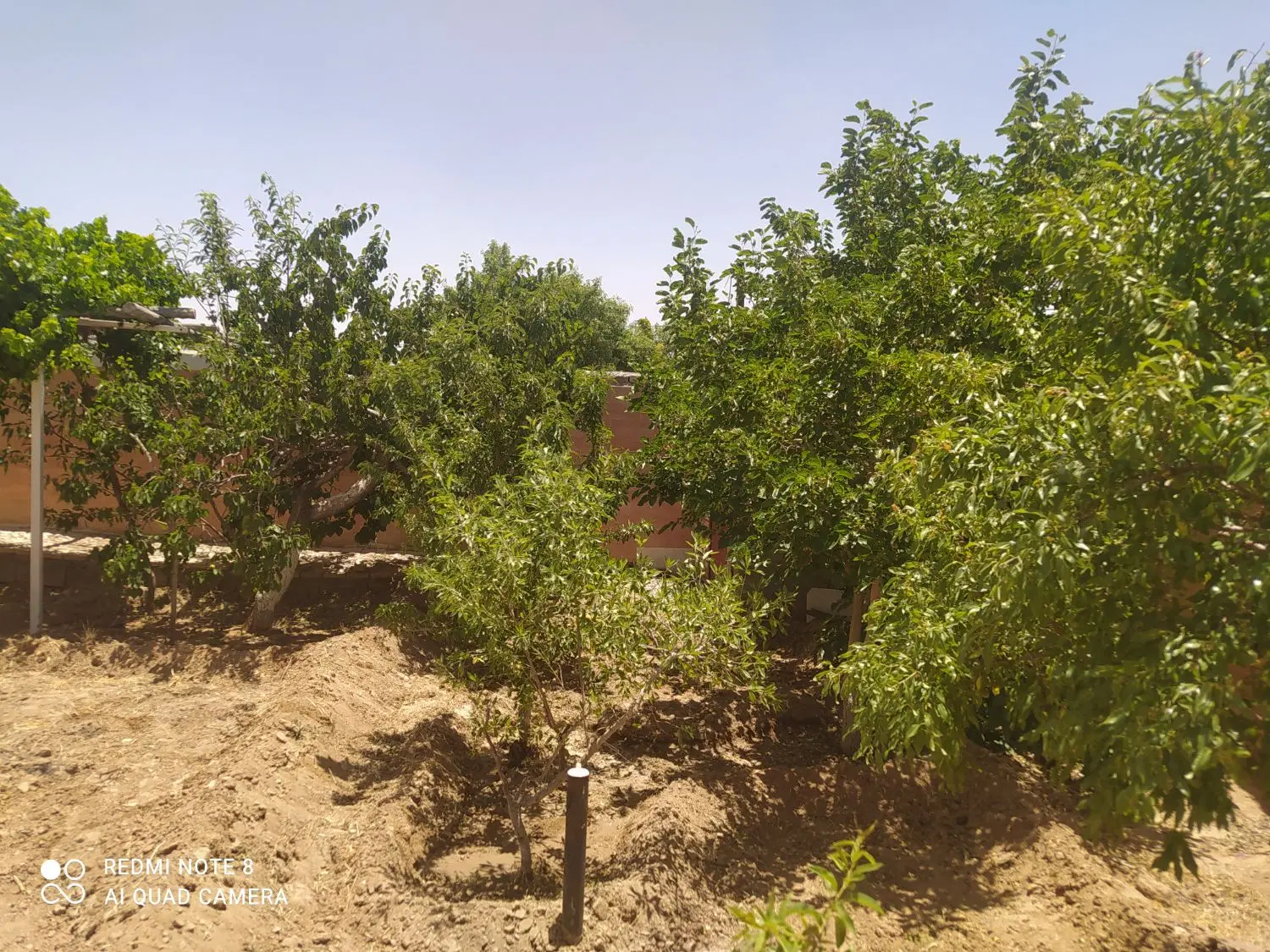 خانه باغ 275متر مبله تنگ چنار