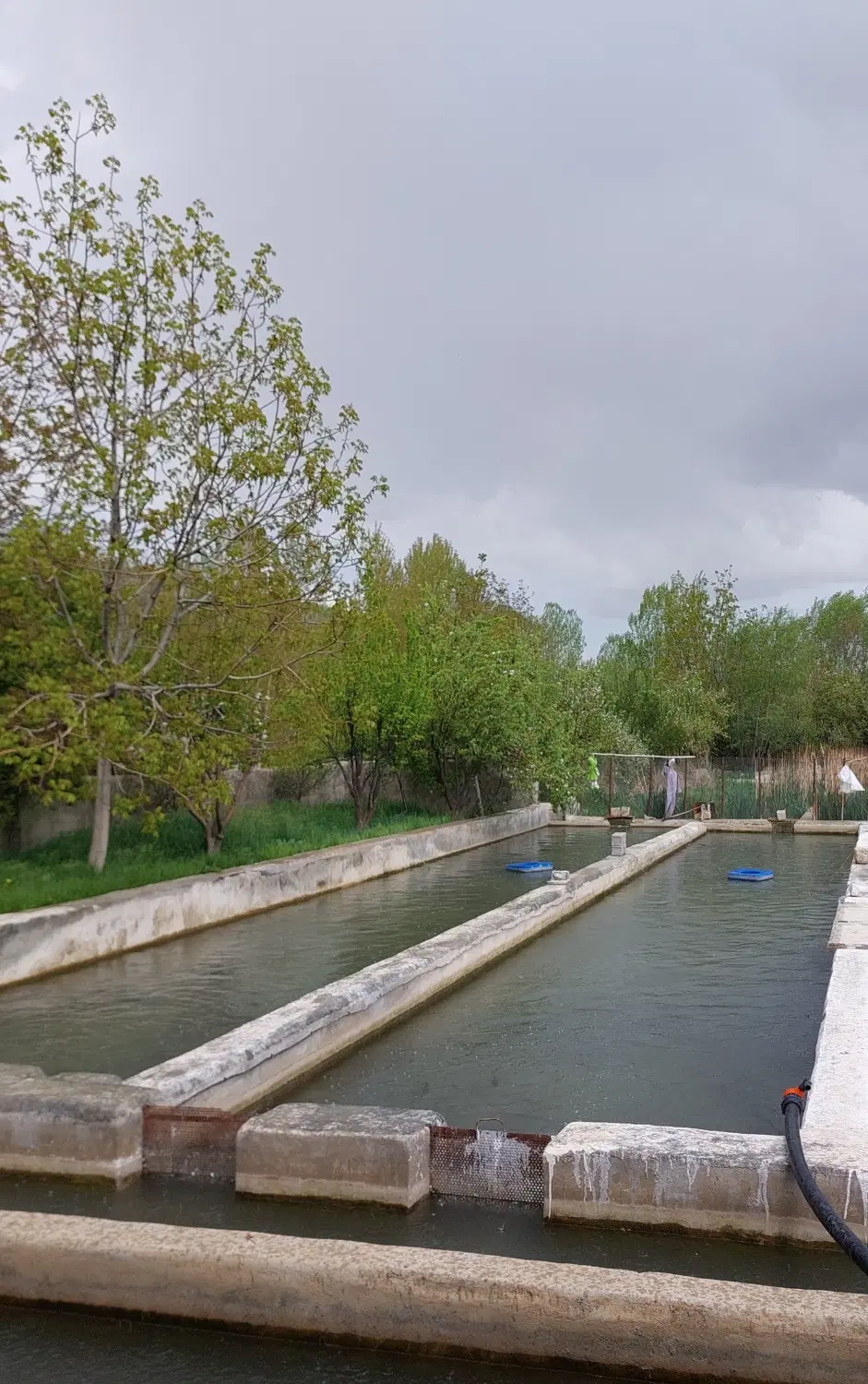 کارگاه پرورش ماهی