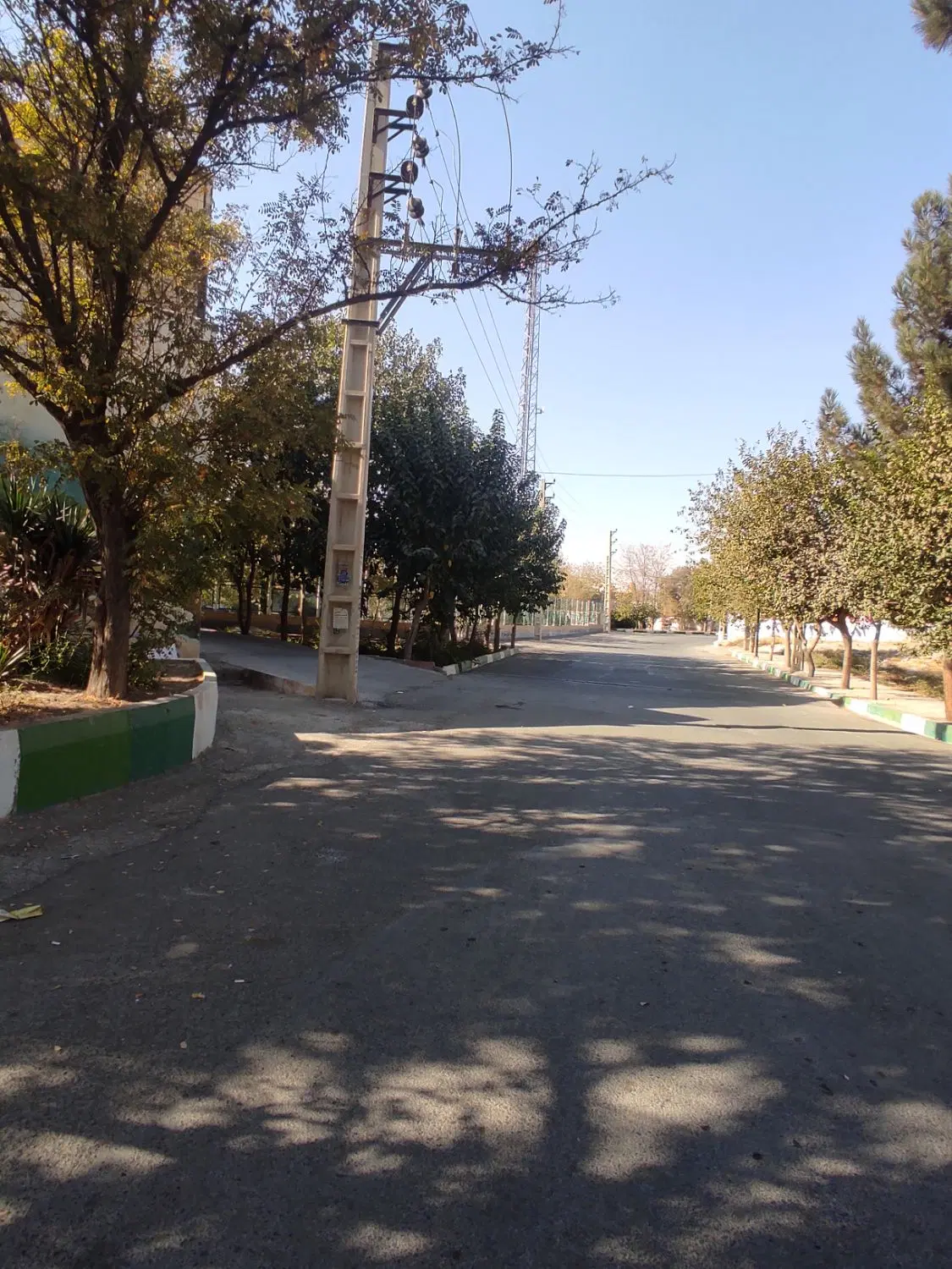 باغچه.باغ.