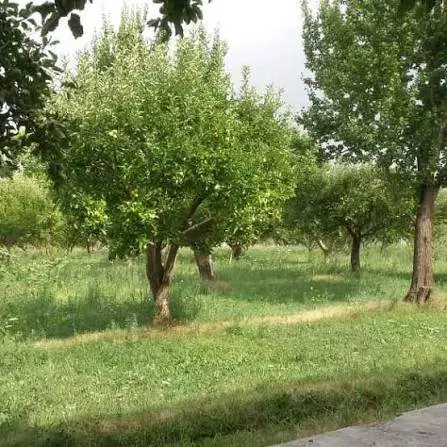 فروش باغ شهر پارس سوئیچ فاز ۱ (آبادگران اشراق)