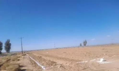 زمین ۲۵۰قصب بفروش میرسد