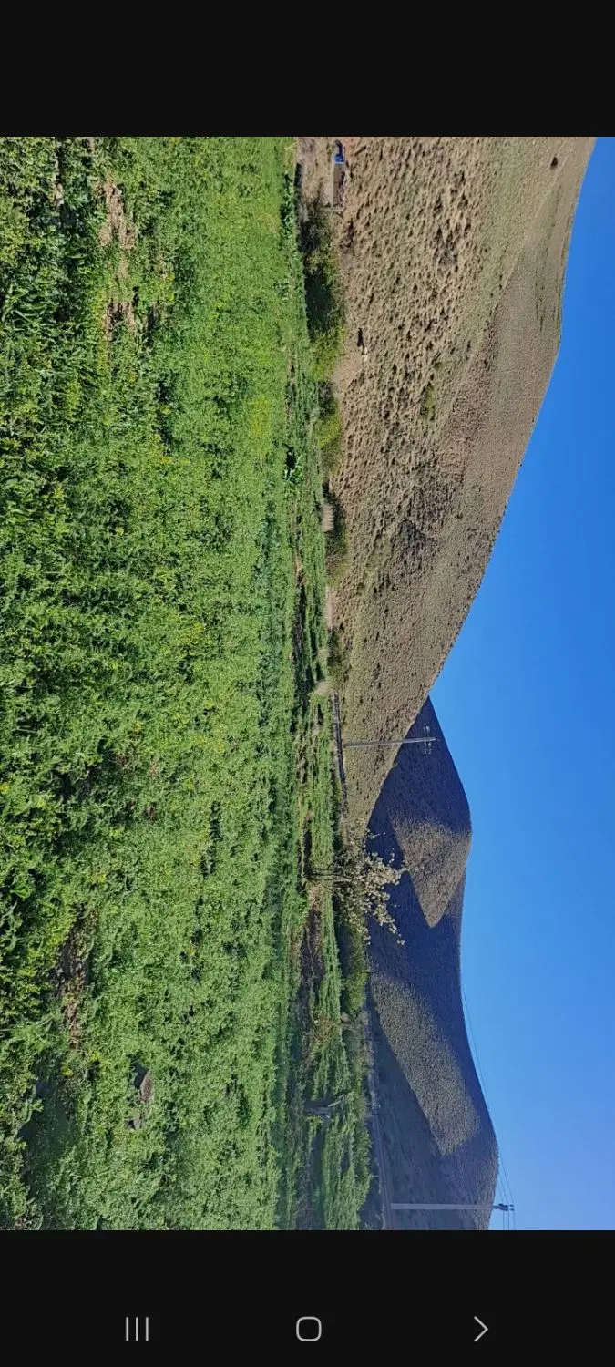زمین کاربری مسکونی