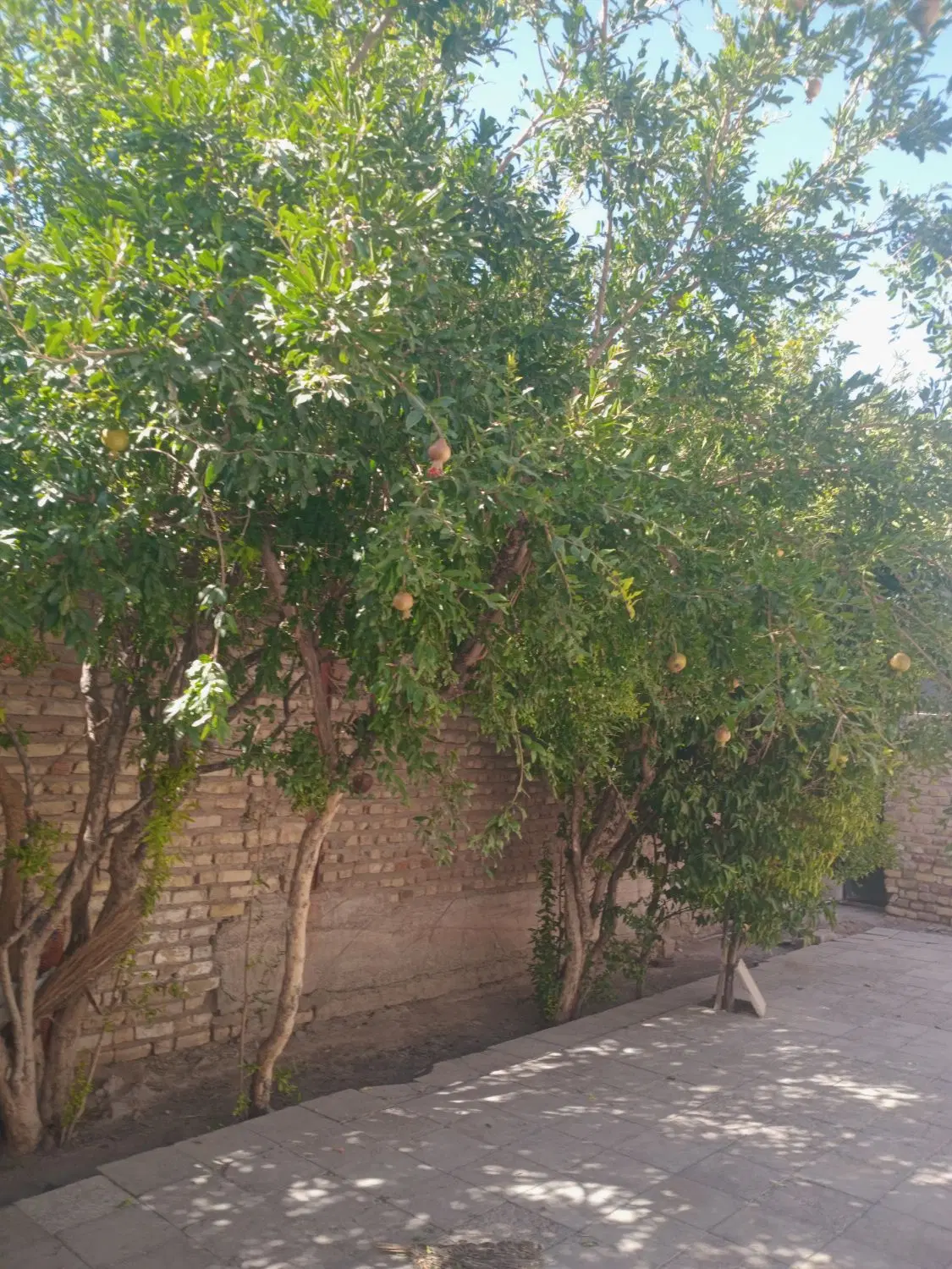 اجاره خانه در نجف شهر