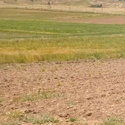 زمین قبر بدراباد
