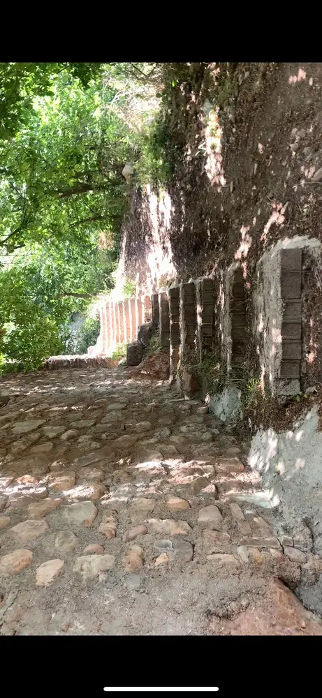 ۲۰۰متر باغچه