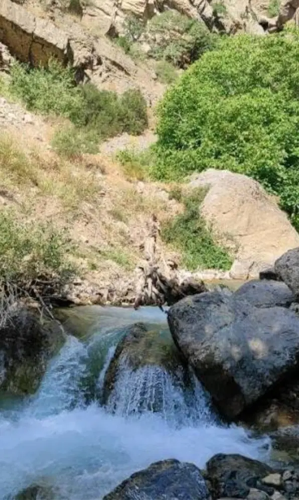 ملک زمین باغموری ازنا
