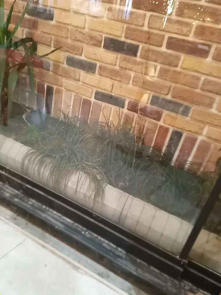 اجاره