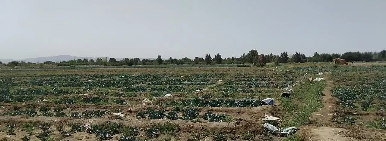 فروش زمین در لوکیشنی دنج و آینده‌دار نزدیک تهران