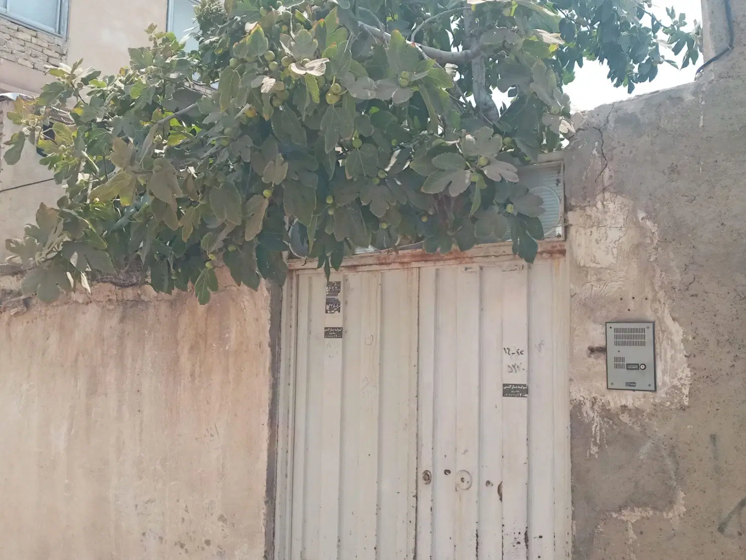 منزل دربست