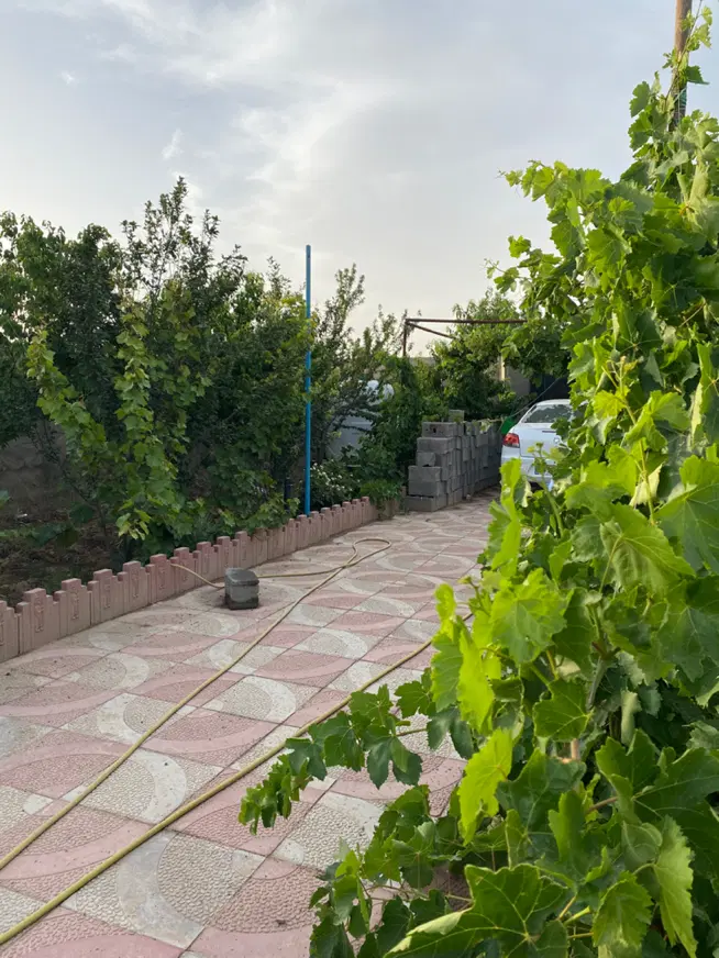 باغ ویلا