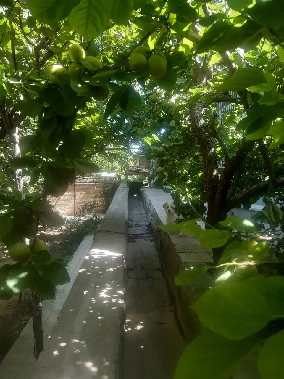قبر امام زاده ابراهیم