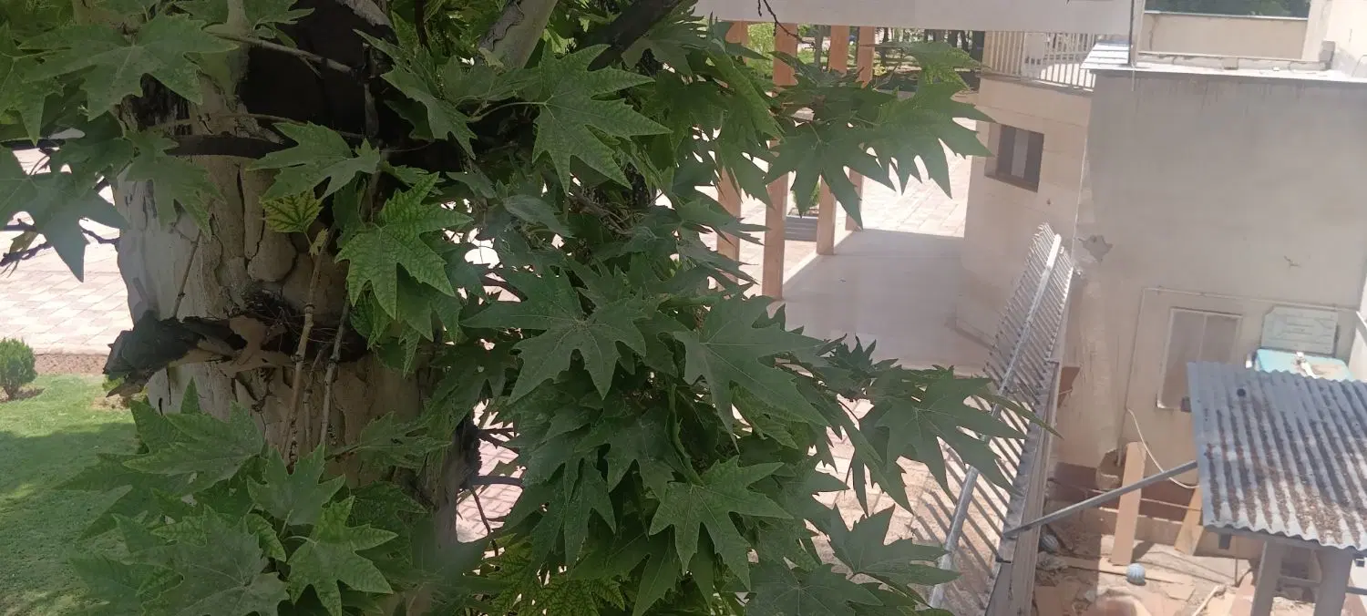 رهن آپارتمان دو خوابه