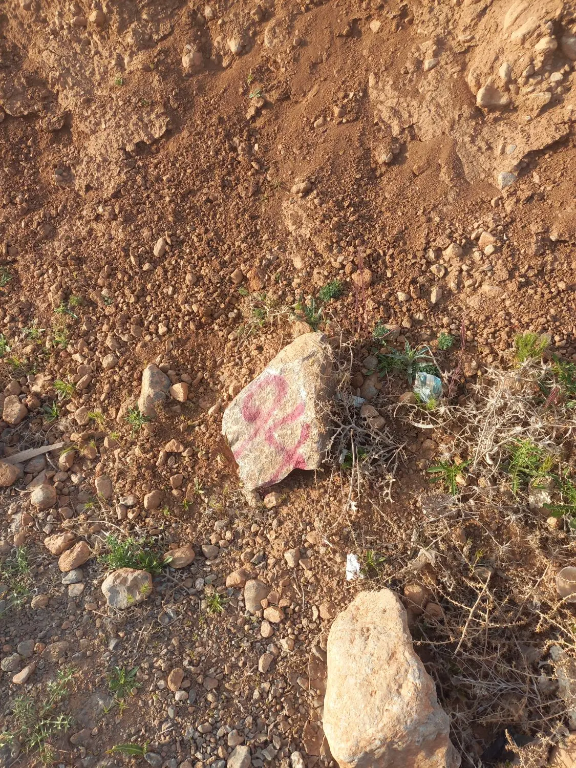 زمین مسکونی