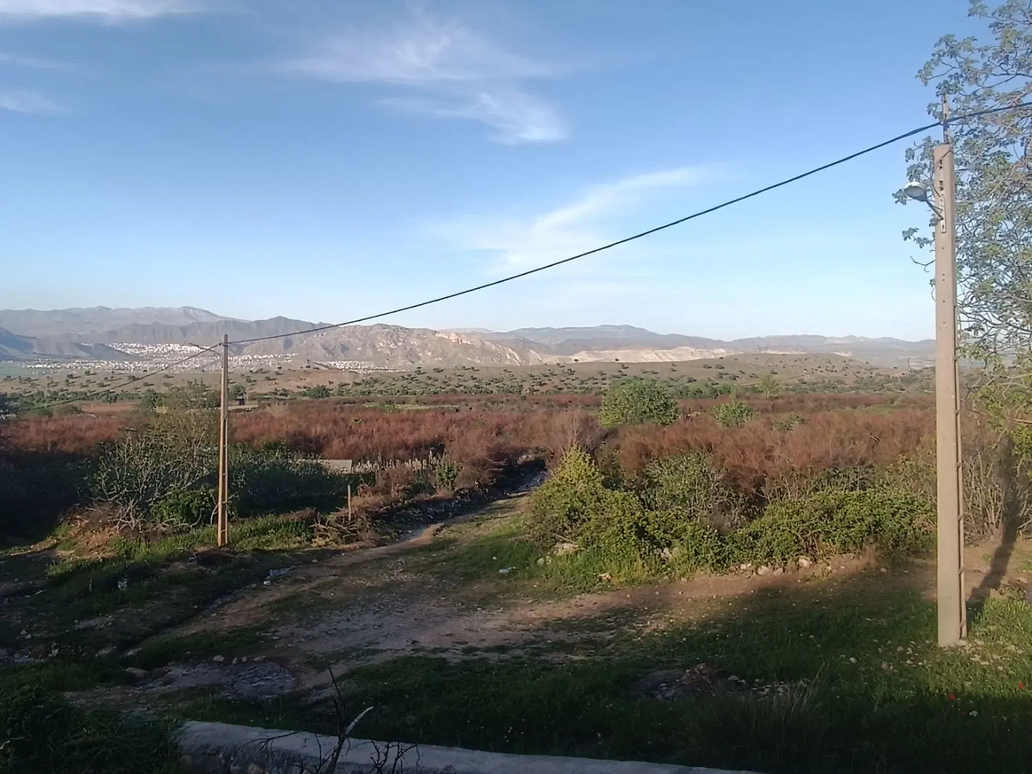 زمین
