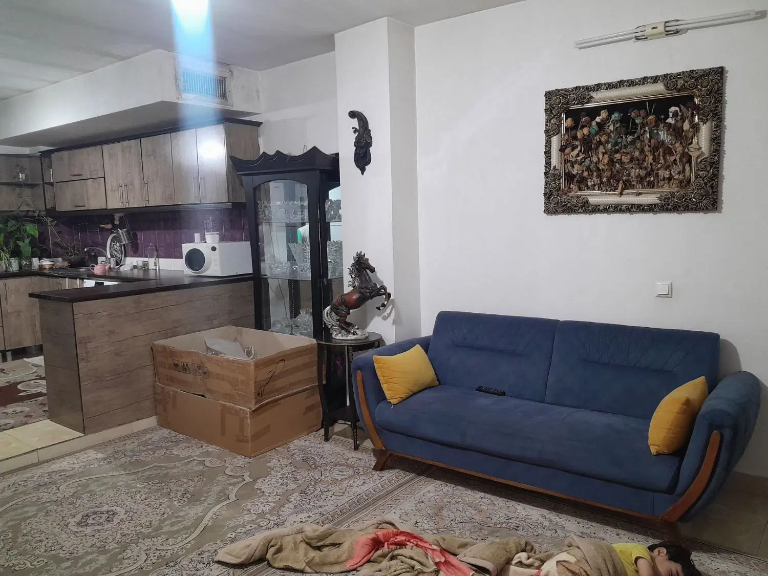 واحد ۶۰ متری خیابان دادگستری