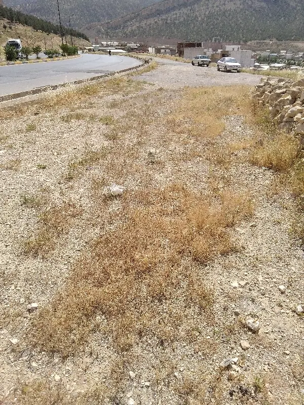 زمین مسکونی