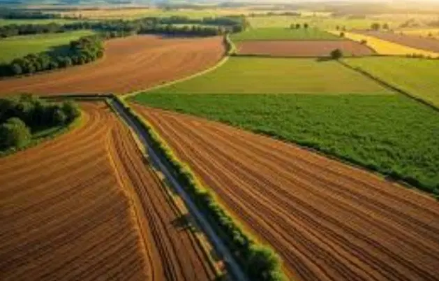 زمین مناسب برای باغ و ویلا و انواع طرحها