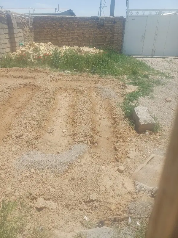 دو هکتار زمین دیم