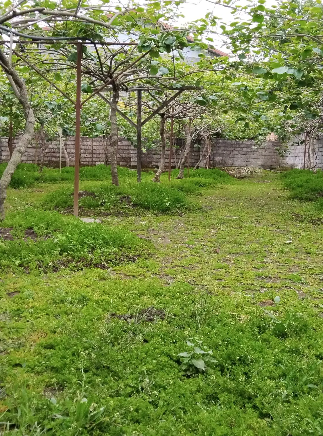زمین مسکونی مساحت ۳۰۰متر شهر اسالم روستا لمرسفلی