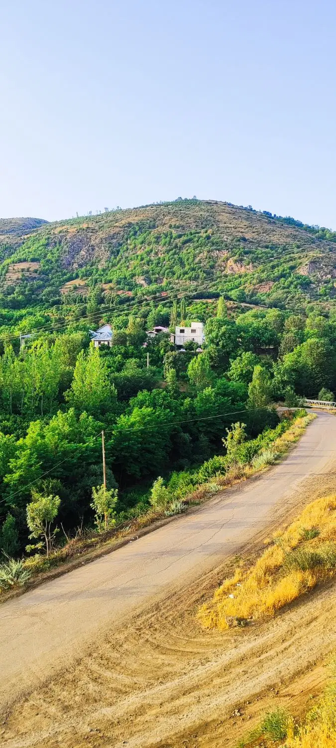 فروش زمین باغی(فندق)