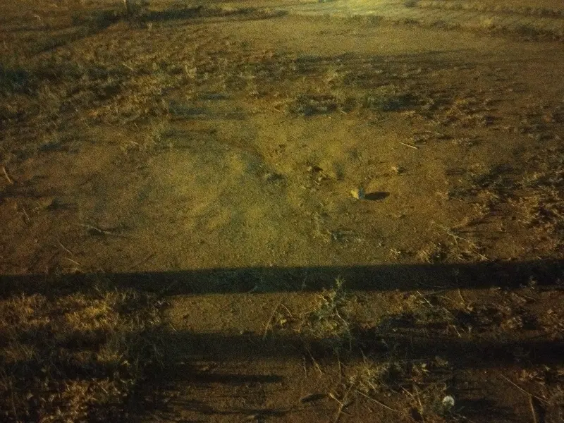 زمین خالی