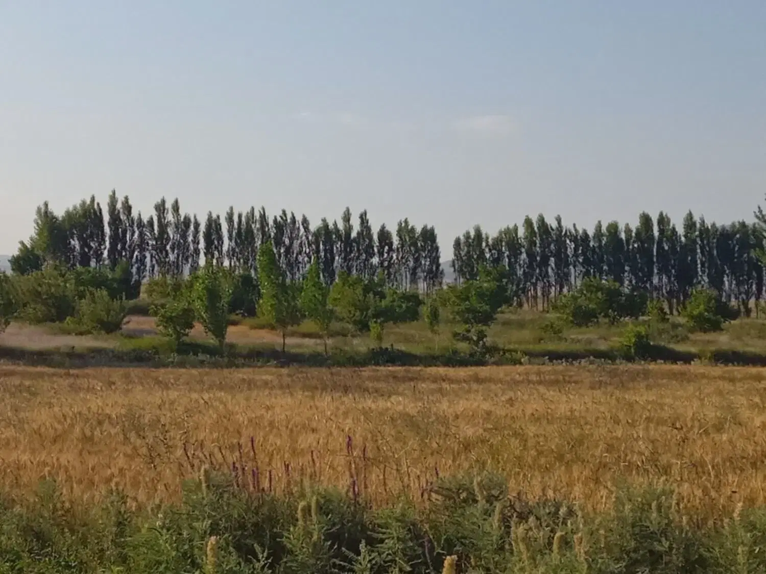 ملک و زمین های آینده دار مناسب ساخت و ساز،آغمیون