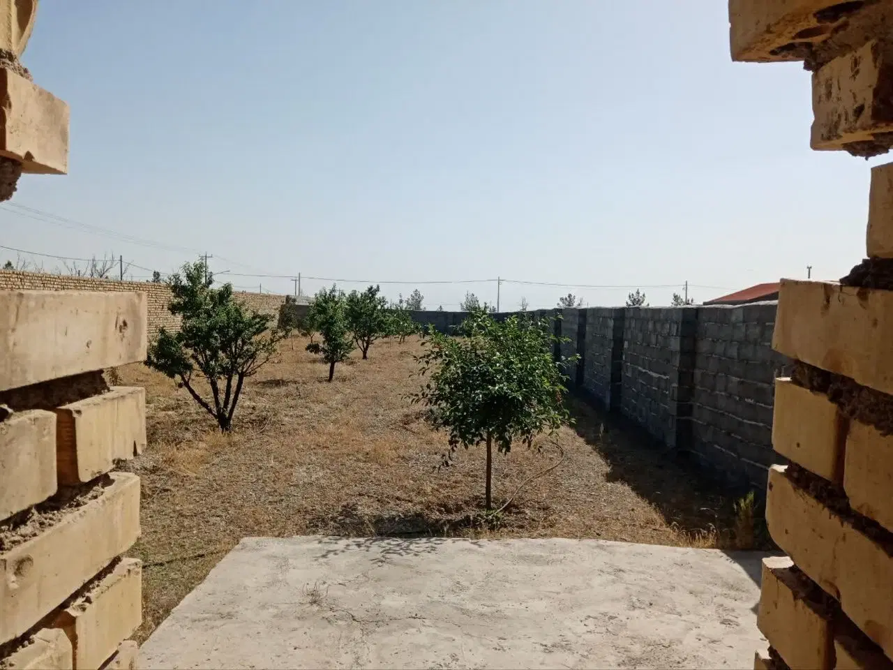 باغ_کاهو_منظریه_زمین_دور دیوار