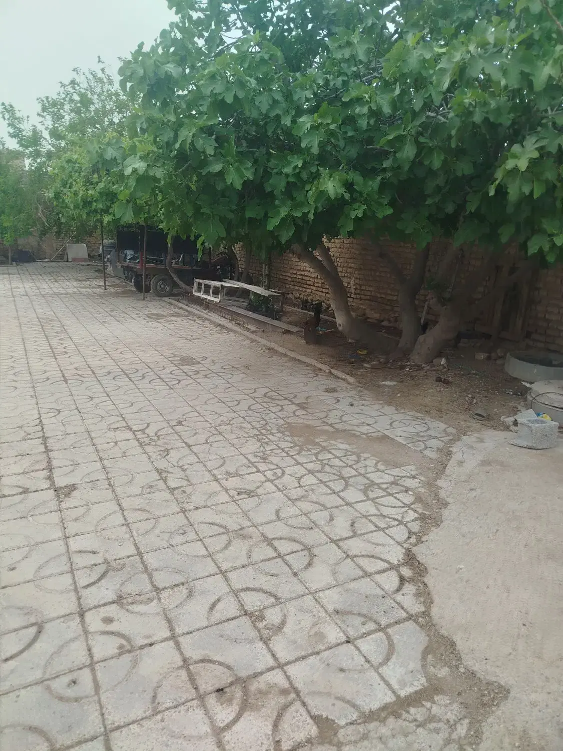 منزل فروشی به متراژ تقریبا1000 مترمربع