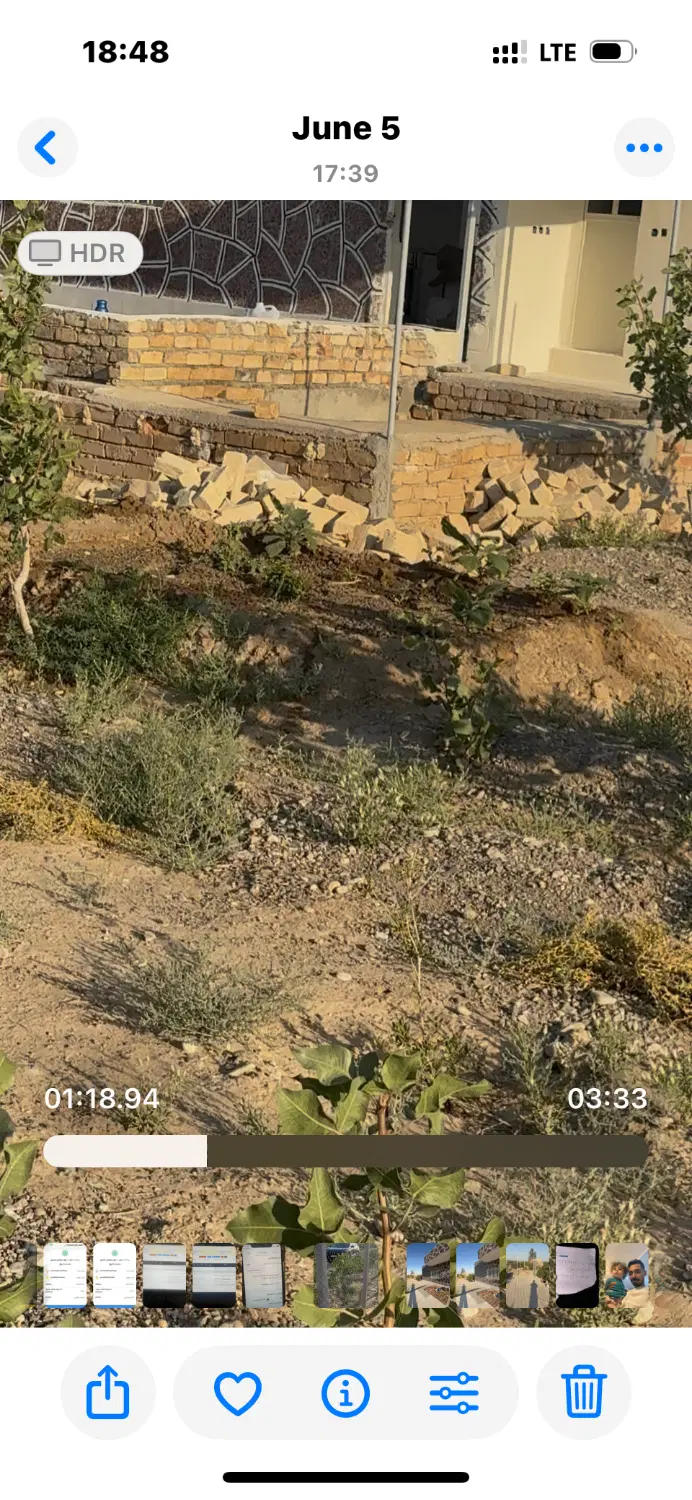 فروش.باغ 2000 متری پسته 6-7 ساله در الوسجرد