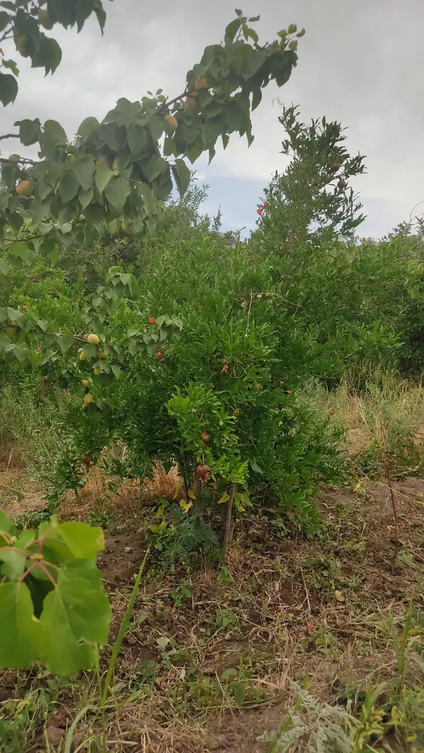 خونه رهن و اجاره