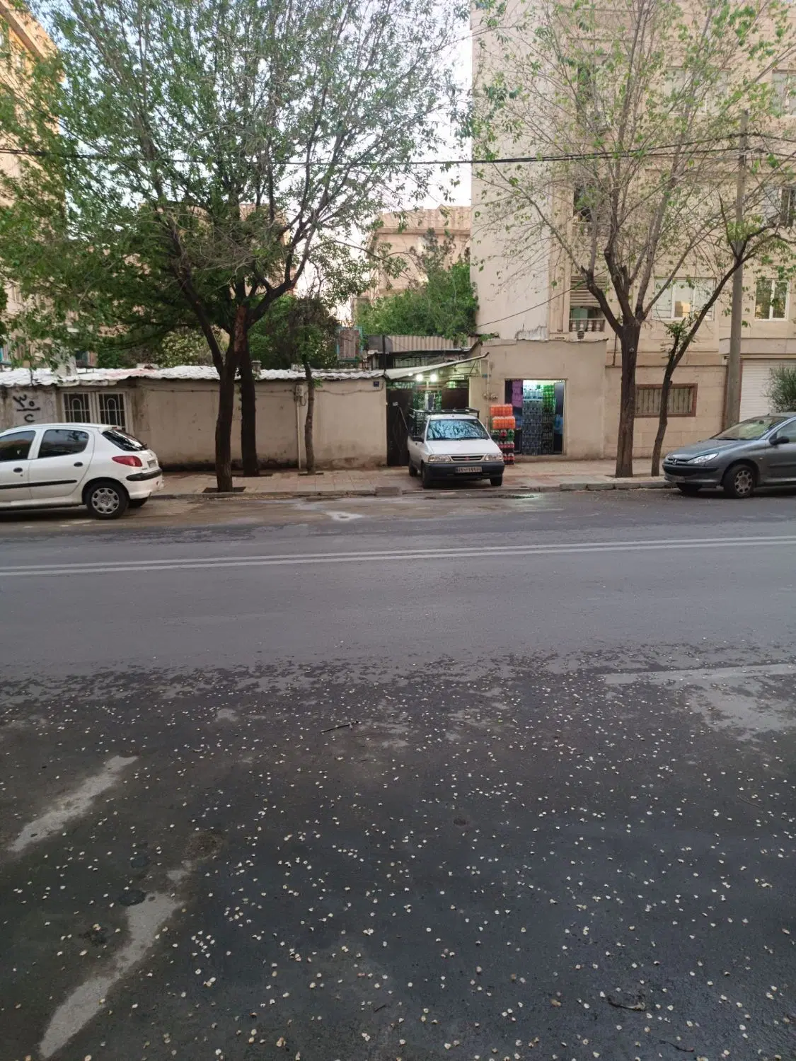 کیانشهر ملک ویلایی کلنگی