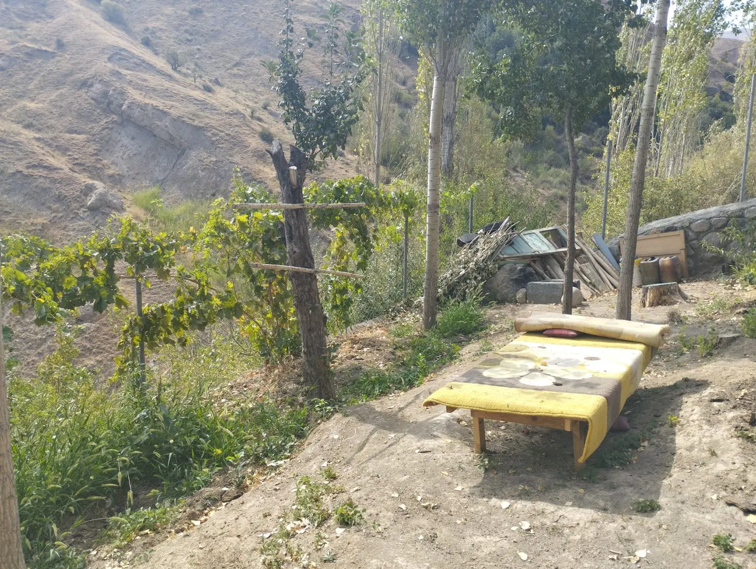 فروش باغچه 200متری طالقان روستایی وشته
