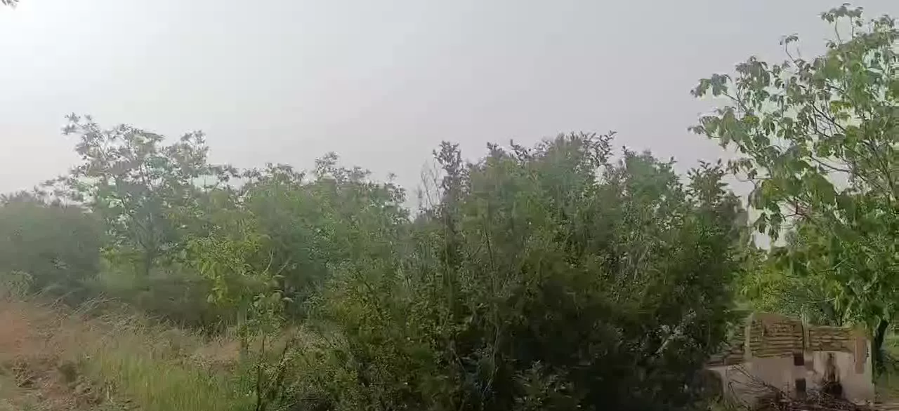 فروش زمین کشاورزی با آب چاه عمیق