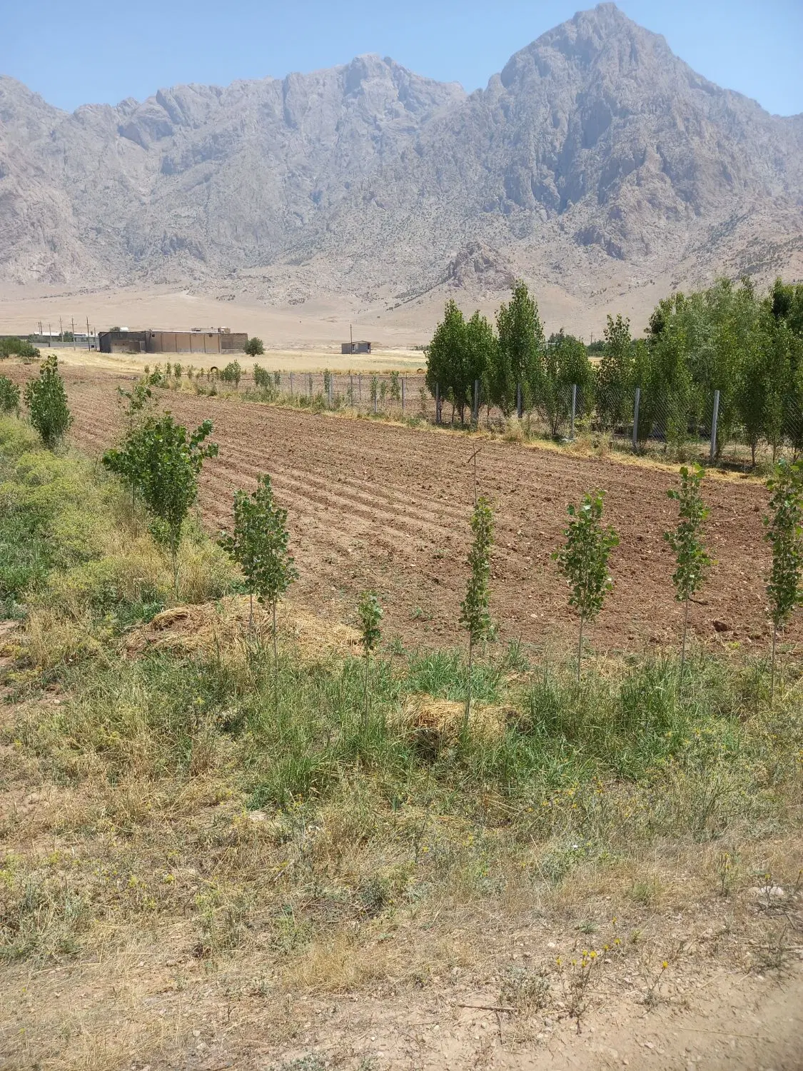 زمین باغی به متراژ۱۵۰۰متر