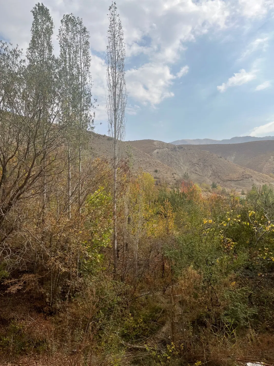 زمین شهرکی،لواسان